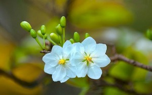 Số cuối ngày sinh Âm lịch tiết lộ ai sẽ về đích viên mãn