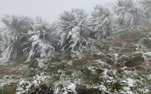 Tin không khí lạnh mới nhất: Chiều tối nay tràn về Bắc Bộ gây rét đậm rét hại, đề phòng băng giá xuất hiện