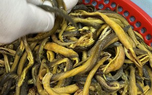 Loại thịt 'bổ hơn sâm' không chỉ làm nhiều món ngon còn là di sản văn hóa phi vật thể quốc gia, đặc sản Nghệ An