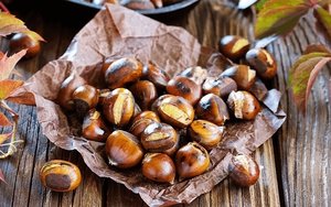 Rang hạt dẻ nhanh gọn với nồi chiên không dầu