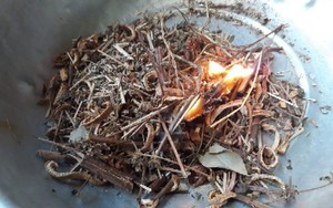 Những nguyên liệu xông nhà mang lại lợi ích phong thủy và sức khỏe nổi bật