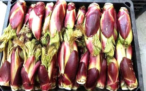 Thứ rau dại ở Việt Nam lại được xếp là “cao lương mỹ vị số 1 thế giới”, chế biến đơn giản cũng có món ngon bổ dưỡng