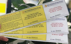 Đây là những quy định về bảo hiểm xe máy có hiệu lực trong năm 2026 mà người dân phải lưu ý