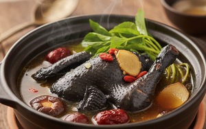 Thực đơn 5 món ngon từ ngải cứu giúp bồi bổ cơ thể mùa lạnh