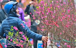 Thời tiết dịp Tết Nguyên đán Bính Ngọ 2026 mới nhất: Liệu có rét đậm, rét hại như các năm trước đây?