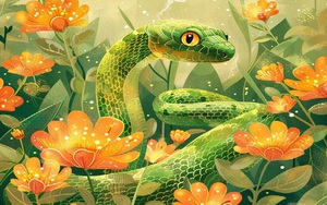 Tháng Chạp 2025: Con giáp Tỵ đón một tháng may mắn, khởi sắc mọi mặt