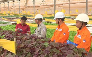 Lịch cúp điện An Giang tuần này (từ 8 - 11/1/2026): Cúp điện 12 tiếng/ngày một số khu vực để sửa chữa