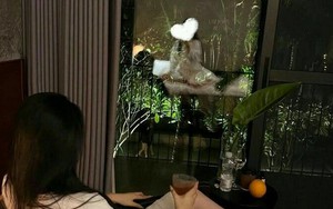 Về nhà lúc 10 giờ đêm, tôi bàng hoàng với thứ vợ đặt trên bàn cùng 200 triệu