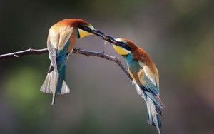 Ngày sinh Âm lịch 'vượng số': Cả đời ít sóng gió, sống an nhàn hơn người