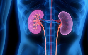 Món ăn nhiều người Việt ưa thích: Ngon miệng, tiêu hóa tốt nhưng khuyến cáo không phù hợp với người suy thận