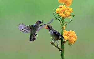 Những ngày sinh Âm lịch phải trải qua nhiều khó khăn mới hưởng phúc lớn