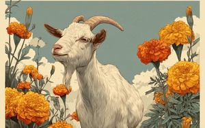 3 con giáp được quý nhân gọi tên năm 2026: Sự nghiệp bứt phá, tiền tài và chức vị cùng tăng