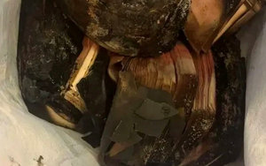 Bất ngờ với số tiền nhận lại khi cụ ông mang 1,4 tỷ đồng bị cháy nghiêm trọng tới đổi tại ngân hàng