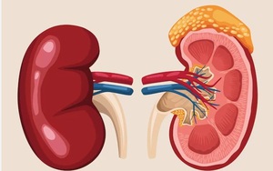 6 loại quả đang bán đầy chợ Việt, người bệnh suy thận nên ăn để kiểm soát bệnh, ngăn ngừa biến chứng