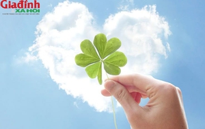 Muốn cuộc sống luôn gặp may mắn, đừng bỏ qua 3 điều tưởng nhỏ này