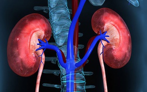 Dấu hiệu cảnh báo sớm suy thận, người Việt cần cảnh giác