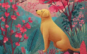 Giờ sinh quyết định tài lộc: 5 con giáp sinh đúng 'giờ vàng' tiêu tiền không phải nghĩ