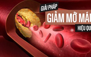 Thực phẩm tốt cho người mỡ máu cao