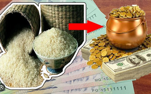 Hũ gạo nên làm từ chất liệu gì? Để hũ gạo trống có hại gì cho tài lộc?