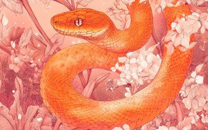 Thời tới cản không kịp: 4 con giáp dễ mua nhà trong 6 tháng cuối năm 2026