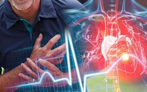 Mạch máu âm thầm 'rỉ sét': 5 dấu hiệu cảnh báo xơ vữa động mạch nhiều người bỏ qua