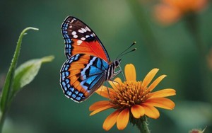 Ngày sinh Âm lịch của người luôn tràn đầy năng lượng