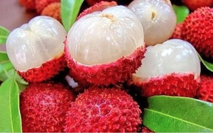 Loại quả mùa hè được chuyên gia Mỹ đánh giá cao, bán đầy chợ Việt, ăn đúng cách mang lại nhiều lợi ích sức khỏe, sống thọ
