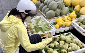Tiểu thương bật mí cách chọn na chín già, dày thịt, ngọt lịm chỉ dựa vào những đặc điểm đơn giản này