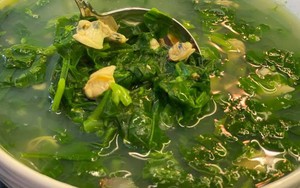 Loại rau mùa hè hỗ trợ kiểm soát mỡ máu, tốt cho tuổi trung niên, nấu canh hay xào đều ngon