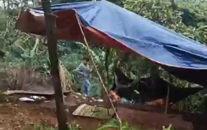 Xác định nghi phạm sát hại nữ nhân viên thư viện trường học ở Đắk Lắk