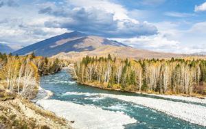 Tháng sinh Âm lịch của người tài năng, trước 40 đã gặt hái thành tựu