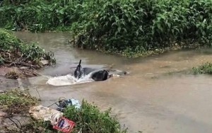 Vụ nam sinh rơi cống tử vong ở Hà Nội: Duy nhất một liên danh trúng thầu gần 200 tỷ với giá giảm 0%, hiện trường đau lòng 'tố cáo' những cam kết an toàn trên giấy