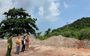 Khởi tố một tổng giám đốc ở Quảng Ninh 