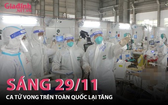 Tình hình COVID-19 trên toàn quốc sáng ngày 29/11