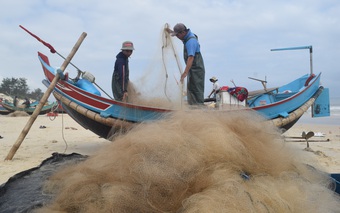 Ngư dân vùng bãi ngang buồn vì sản lượng bấp bênh, giá dầu tăng cao