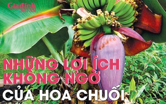 Loại hoa vừa rẻ vừa dễ tìm, ăn được lại rất tốt cho sức khỏe