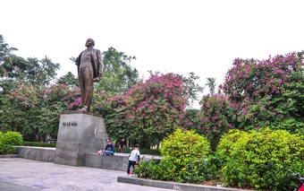Ngắm hoa ban nở đỏ rực quanh tượng đài Lê Nin ngày giáp Tết