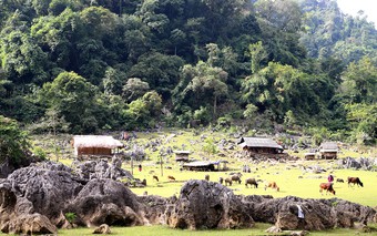 Ngôi làng không sóng điện thoại, không điện lưới nhưng du khách nào đến cũng mê