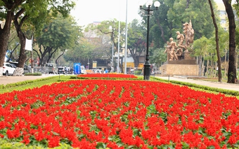 Bất ngờ trước không gian rực rỡ sắc hoa của công viên Thống Nhất