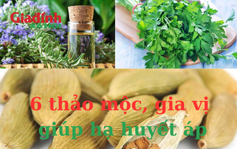 6 thảo mộc, gia vị giúp hạ huyết áp