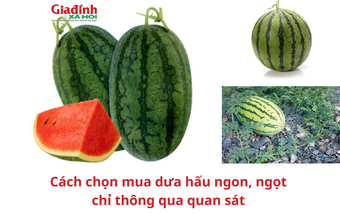 Cách chọn mua dưa hấu ngon, ngọt chỉ thông qua quan sát 