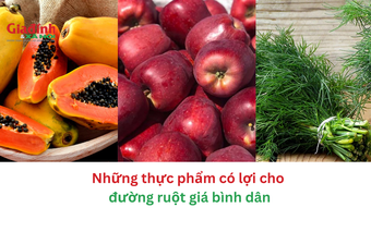 Những thực phẩm có lợi cho đường ruột giá bình dân