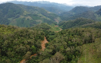 Thái Nguyên: Công ty TNHH Ngọc Linh san ủi đất rừng để mở đường, xây dựng nhà xưởng tại thôn Phja Đăm