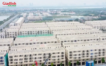 Hà Nội: Xã Đông Anh vượt mặt các xã Thư Lâm, Phúc Thịnh, Thiên Lộc, Vĩnh Thanh về lượng biệt thự cho thuê