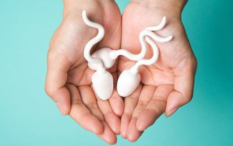 Hiến tinh trùng ở Việt Nam: Quy định mới nhất, ai được phép và thủ tục ra sao?