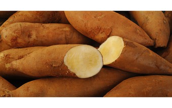Món ngon đổi vị ngày mưa với ‘nhân sâm nhà nghèo’, giúp kiểm soát đường huyết