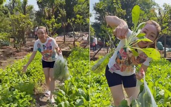 Khu vườn xanh mướt mắt nhà Chi Bảo và vợ trẻ khiến nhiều người ao ước