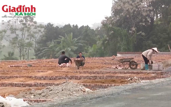 Bộ Nông nghiệp và Môi trường giải đáp điều kiện tách thửa đất không giáp đường công cộng