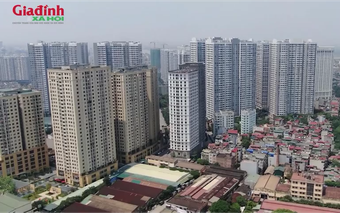 Diễn biến giá chung cư phường Bạch Mai sau khi có quy định mới về niên hạn sử dụng