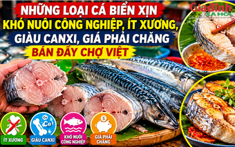 Những loại cá biển xịn, khó nuôi công nghiệp, ít xương, giàu canxi, giá phải chăng bán đầy chợ Việt